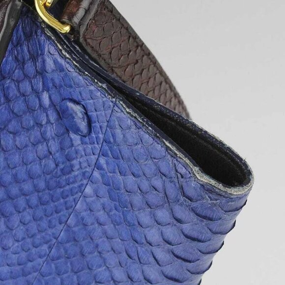 Celine Brown/Blue Python and Calfskin Leather Small Trapeze Bag - Picture 5 of 12